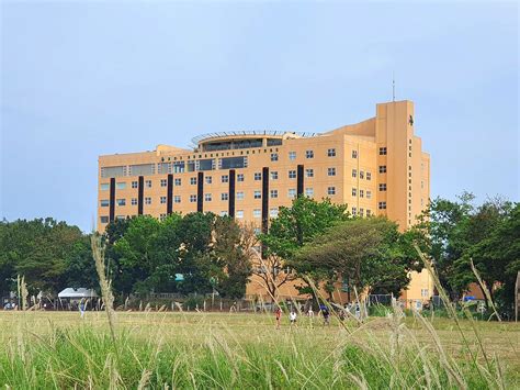 ace dumaguete doctors|ACE Dumaguete Doctors, Cimafranca Street, Daro, Dumaguete .